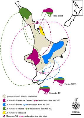 Genetic Rescue and the Plight of Ponui Hybrids